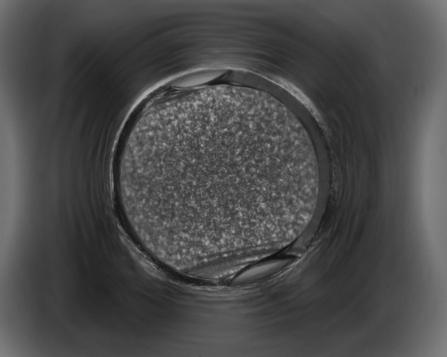 X0000084570980200703231817