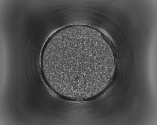 X0000084570988200703231817