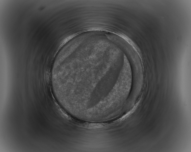 X0000084570993200703231817