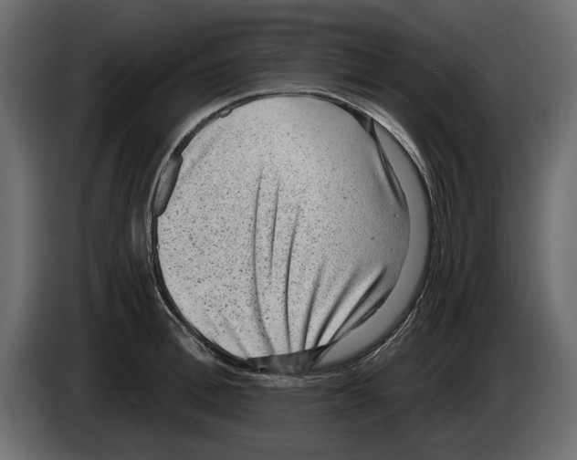 X0000084570996200703231817