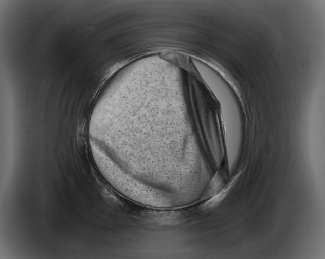 X0000084571001200703231817