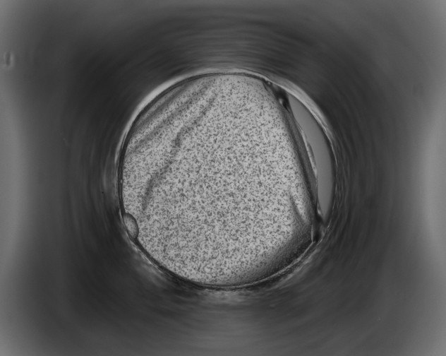 X0000084571004200703231817