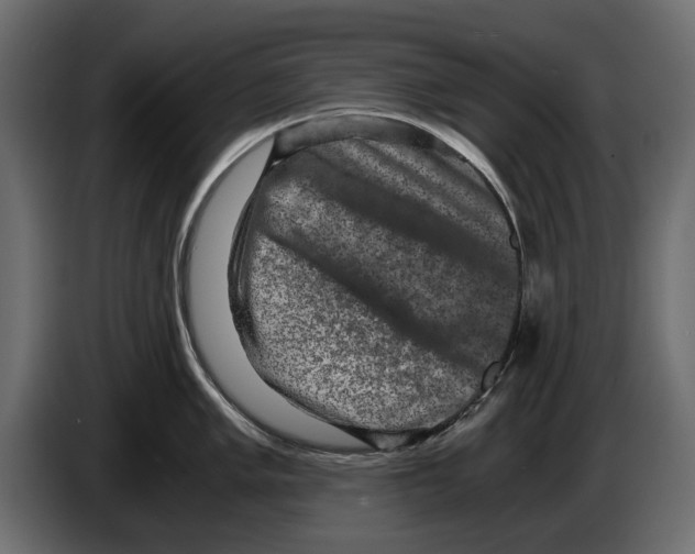 X0000084571005200703231817