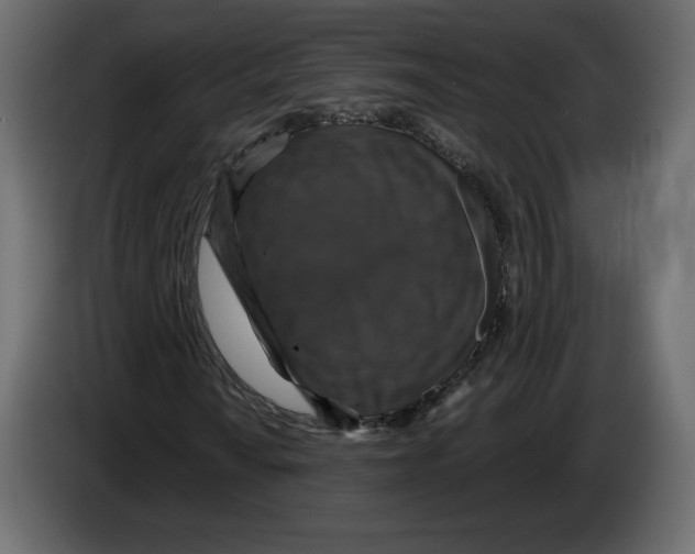 X0000084571010200703231816
