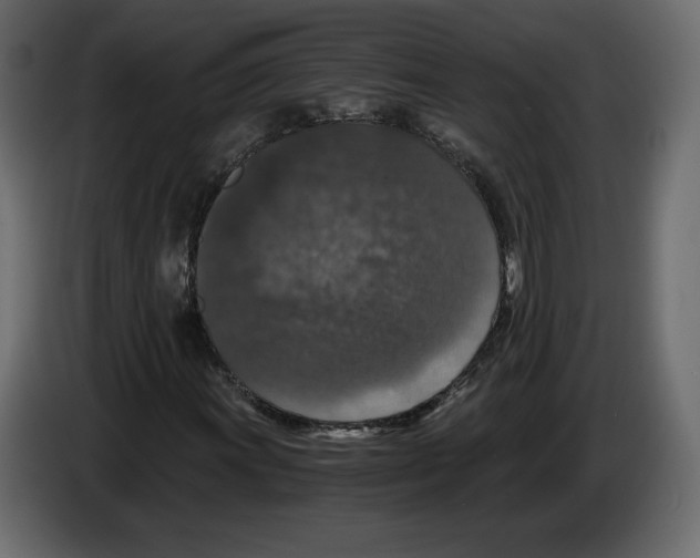 X0000084571011200703231816