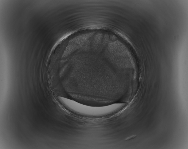 X0000084571018200703231816