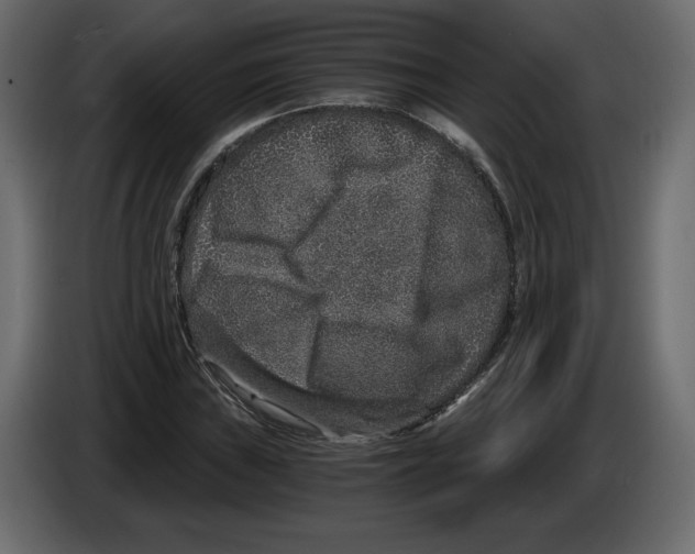X0000084571019200703231816