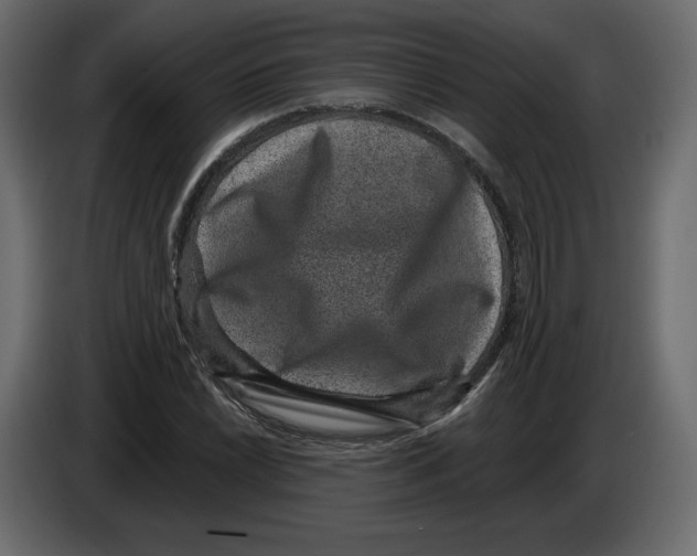 X0000084571022200703231816