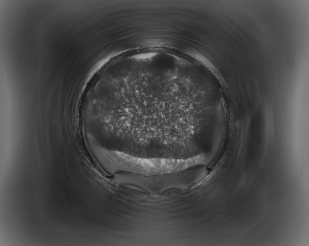 X0000084571023200703231816