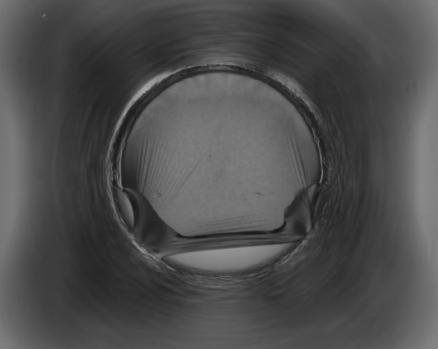 X0000084571024200703231816