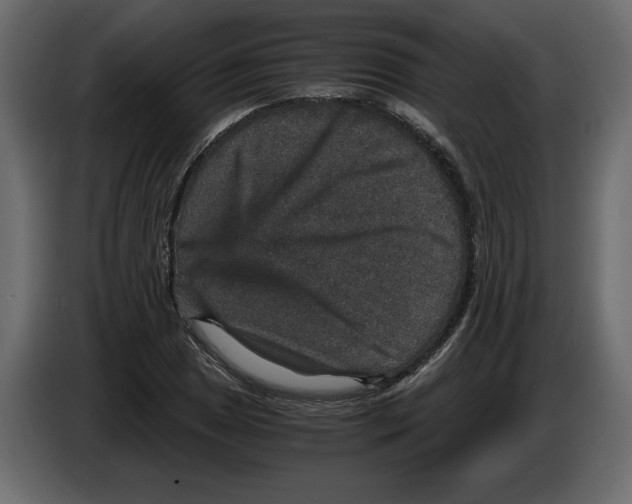 X0000084571025200703231816