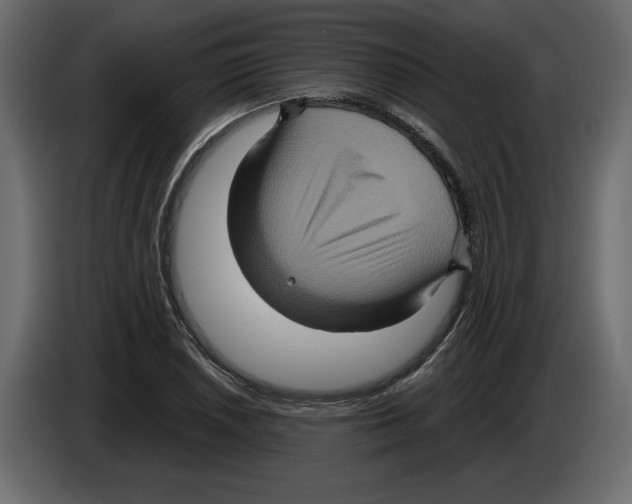X0000084571026200703231816