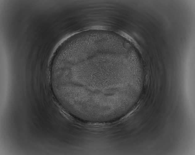 X0000084571027200703231816