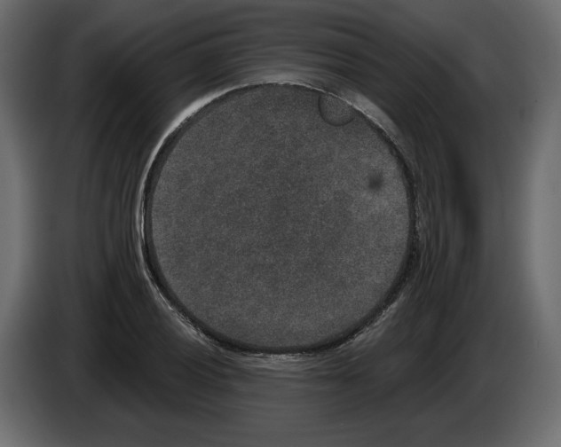 X0000084571028200703231816