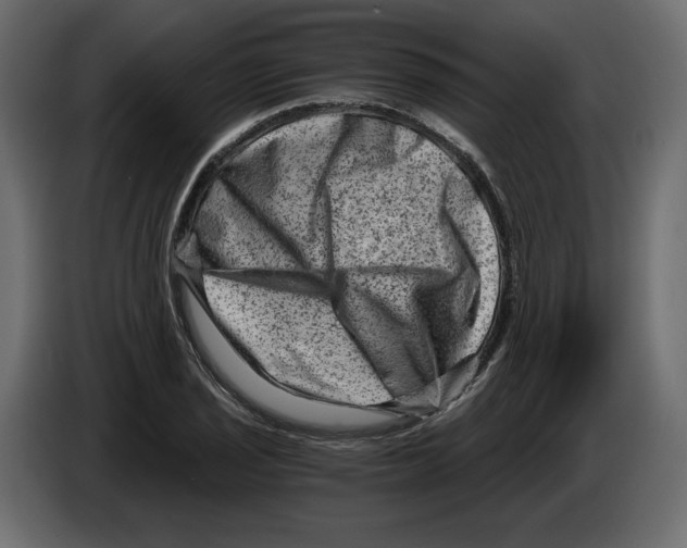 X0000084571029200703231816