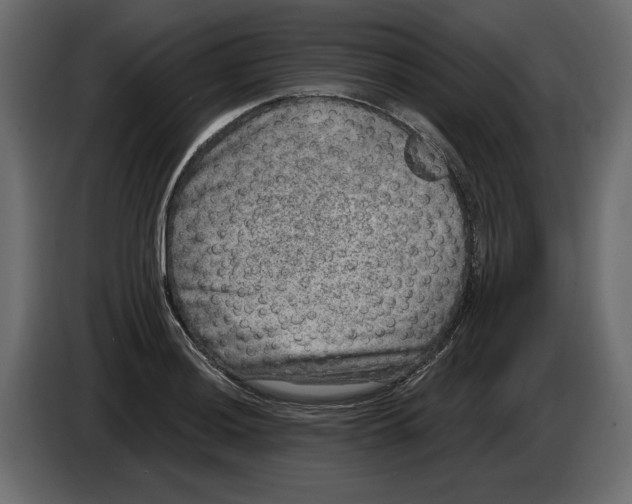 X0000084571036200703231817