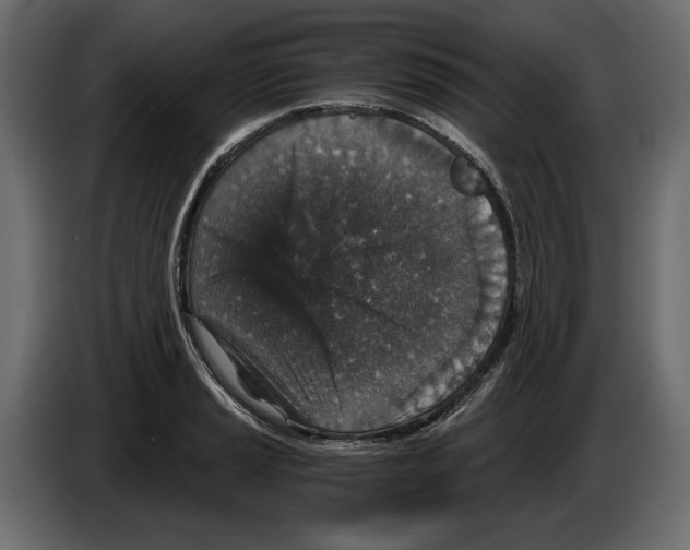 X0000084571037200703231817
