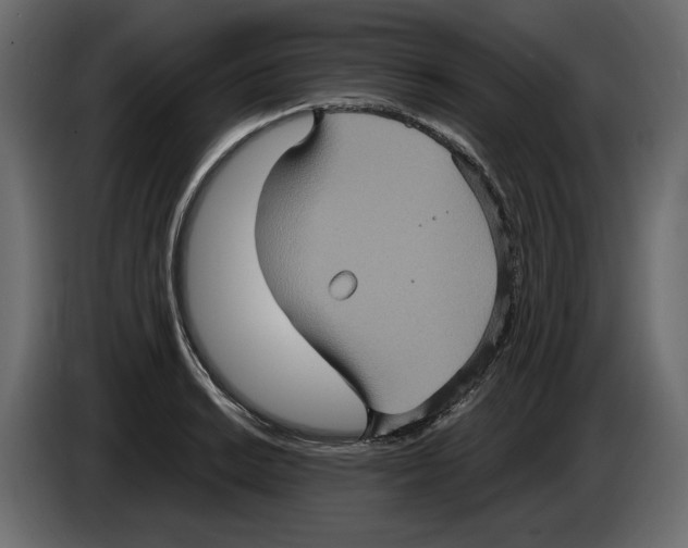 X0000084571038200703231817