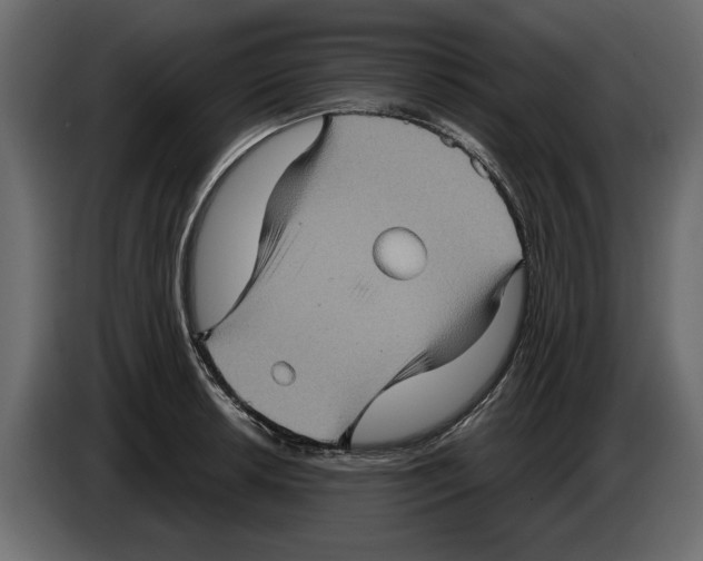 X0000084571042200703231817