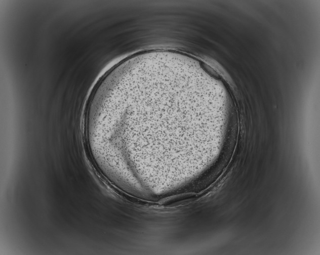 X0000084571044200703231817