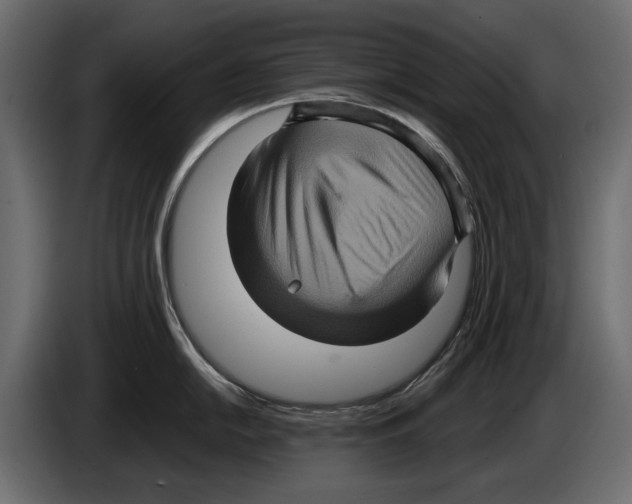 X0000084571054200703231817