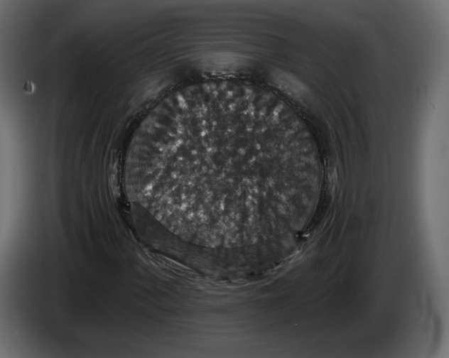 X0000084571060200703231816