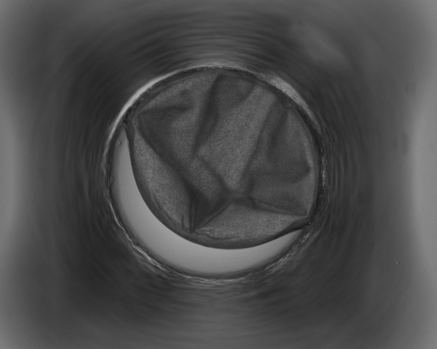 X0000084571068200703231816