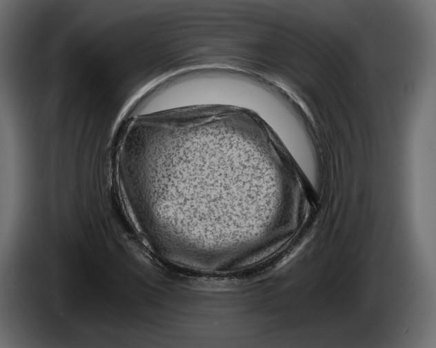X0000084571069200703231816