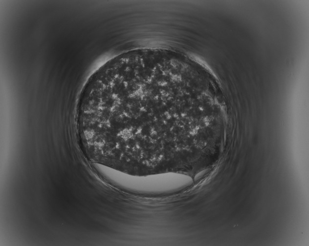 X0000084571071200703231816