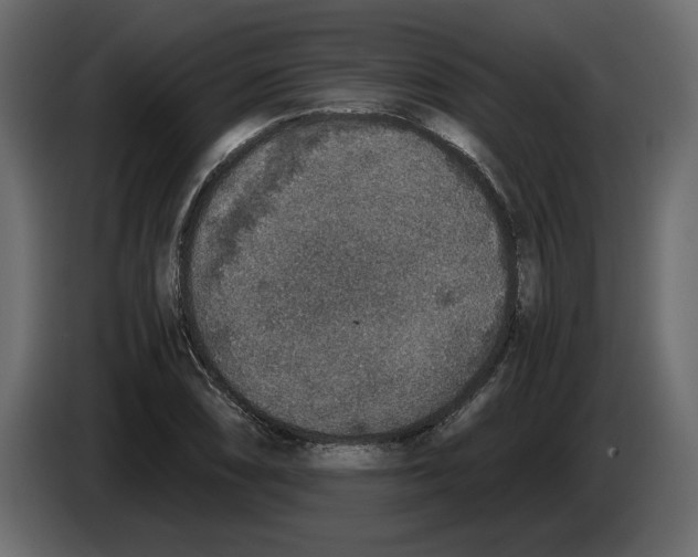 X0000084571074200703231816