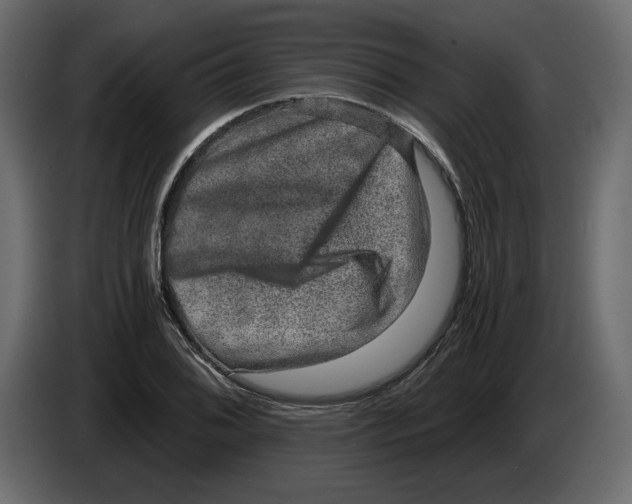 X0000084571076200703231816