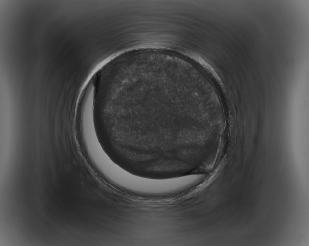 X0000084571077200703231816