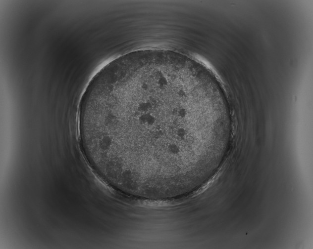X0000084571079200703231816