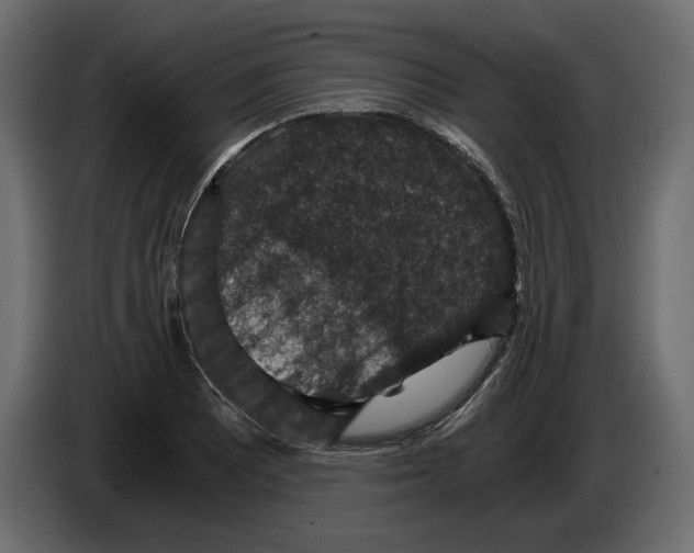 X0000084571081200703231816