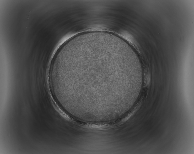 X0000084571086200703231816