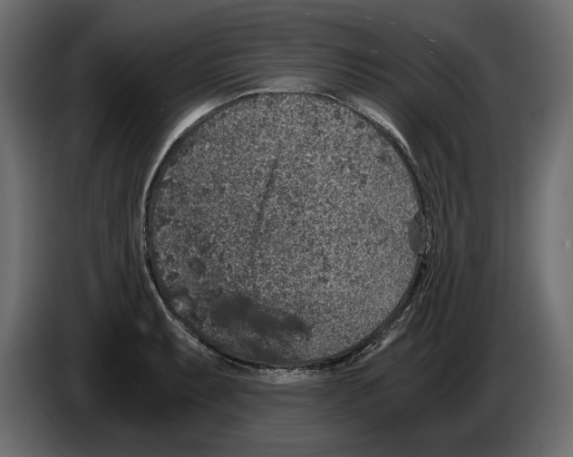 X0000084571087200703231816