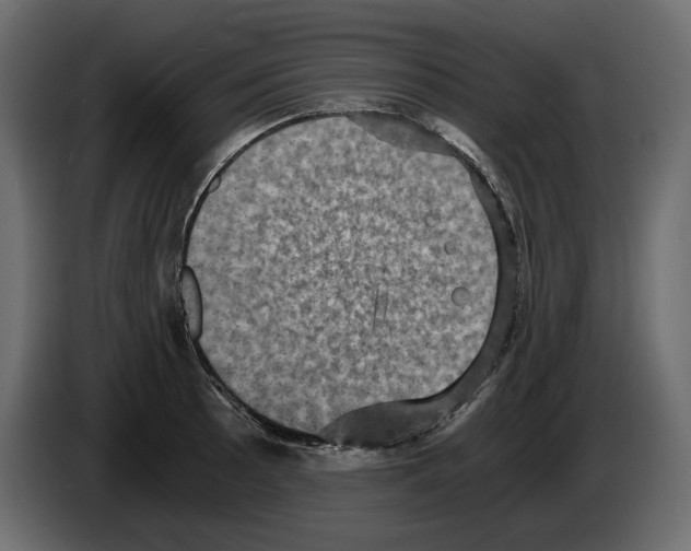 X0000084571089200703231816