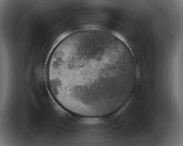 X0000084571090200703231816