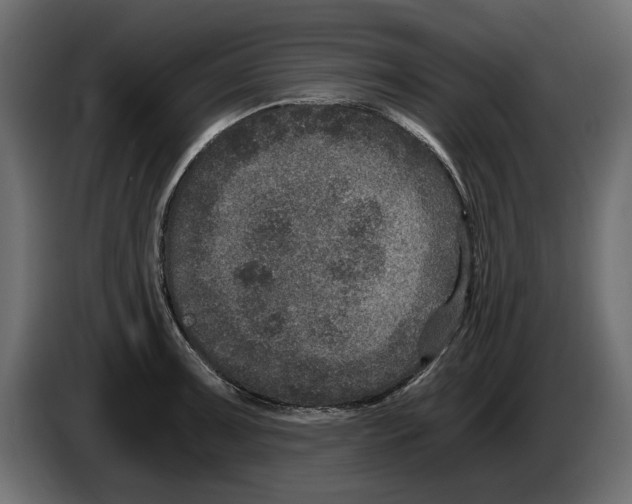 X0000084571091200703231816