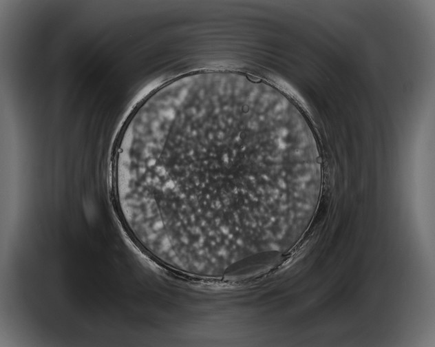 X0000084571095200703231816