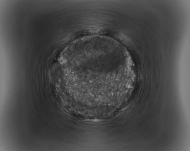 X0000084571106200703231815
