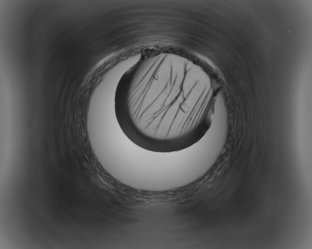 X0000084571112200703231815