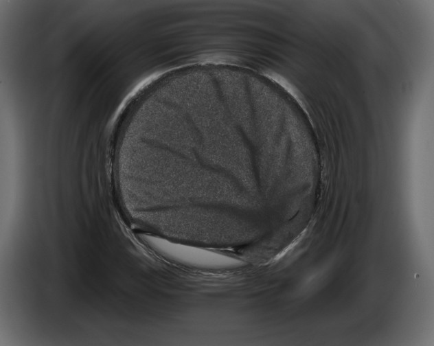 X0000084571115200703231815