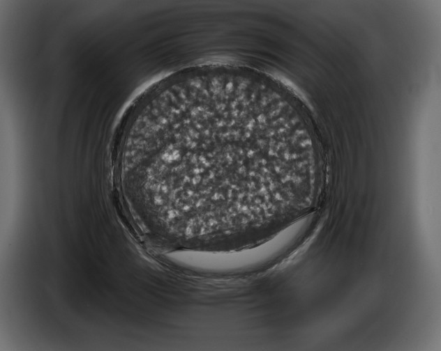 X0000084571117200703231815