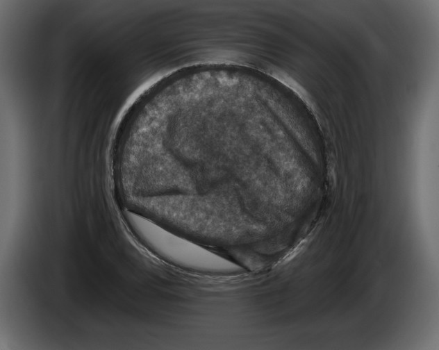 X0000084571120200703231815