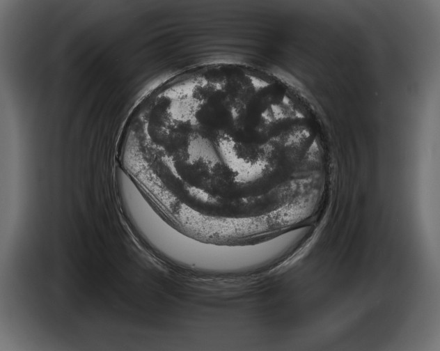 X0000084571121200703231815