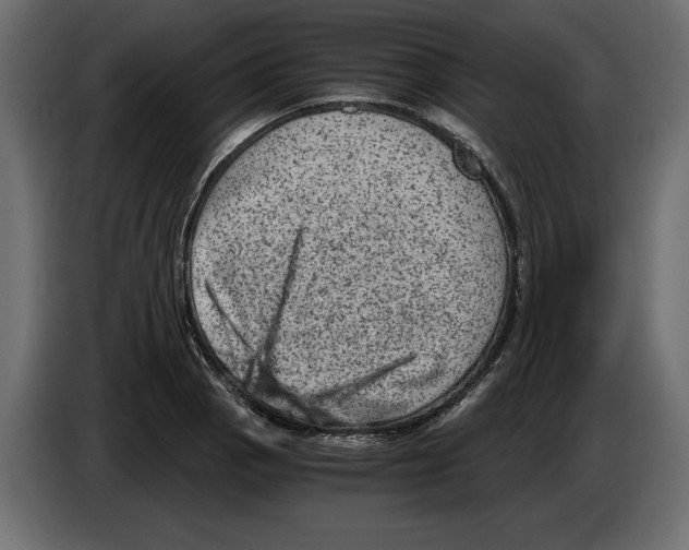 X0000084571129200703231815