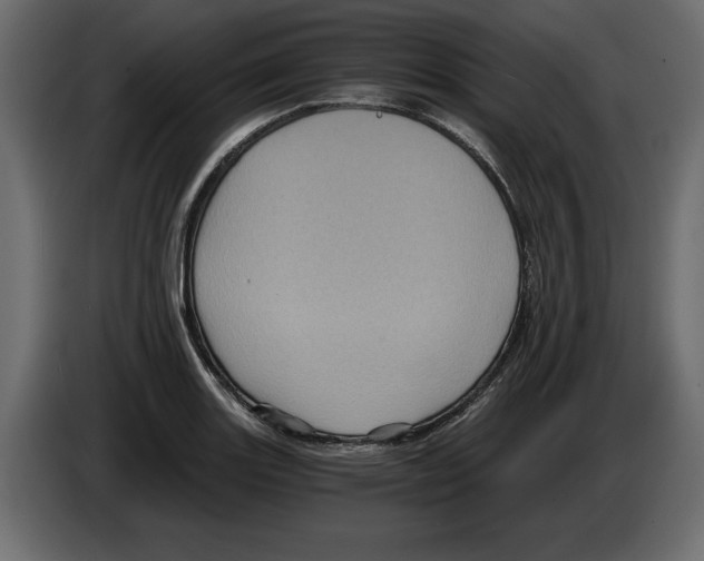 X0000084571131200703231815