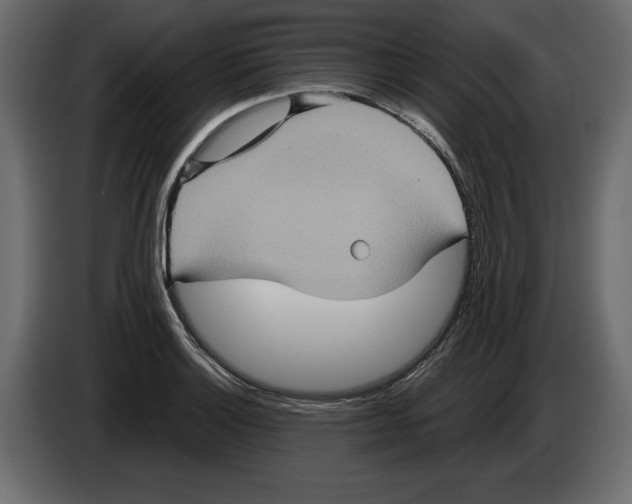 X0000084571132200703231815
