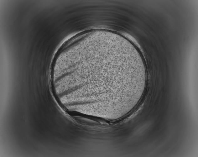 X0000084571133200703231815